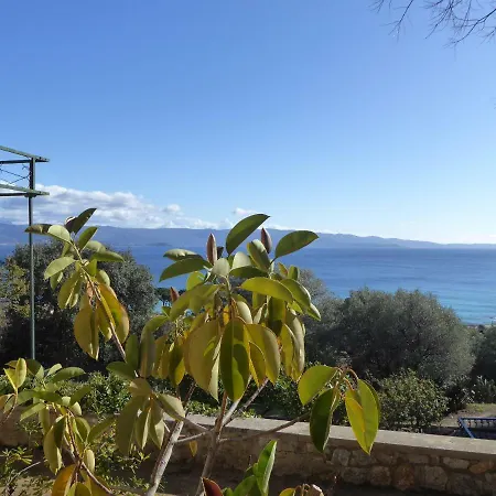 Les Pins De Barbicaja *