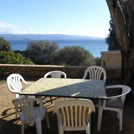 Les Pins De Barbicaja *
